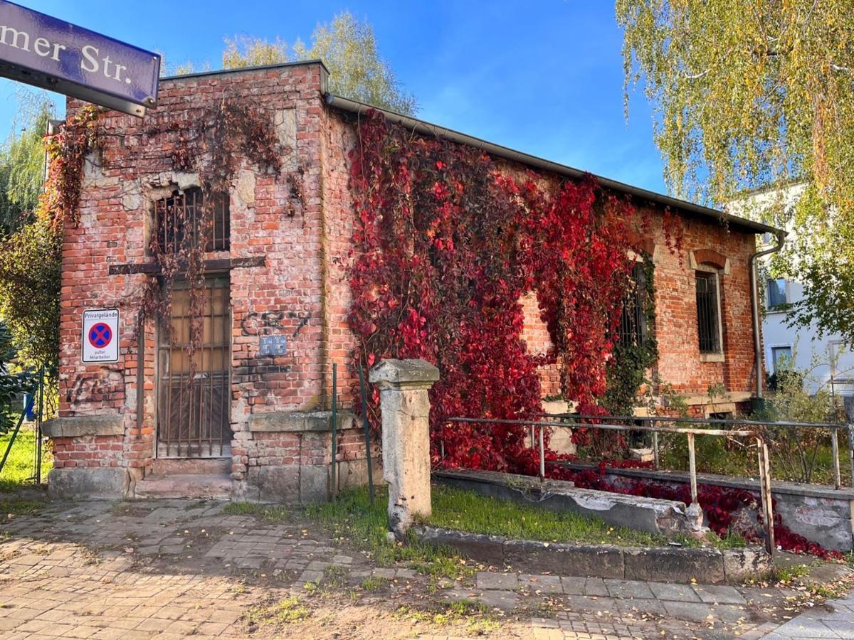 Appartement Gemutliche Oase - Tv, Beamer, Kuche Fur 4 Personen à Dresde Extérieur photo