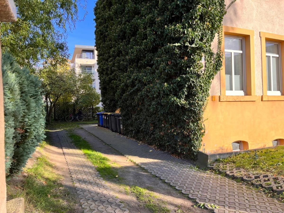 Appartement Gemutliche Oase - Tv, Beamer, Kuche Fur 4 Personen à Dresde Extérieur photo